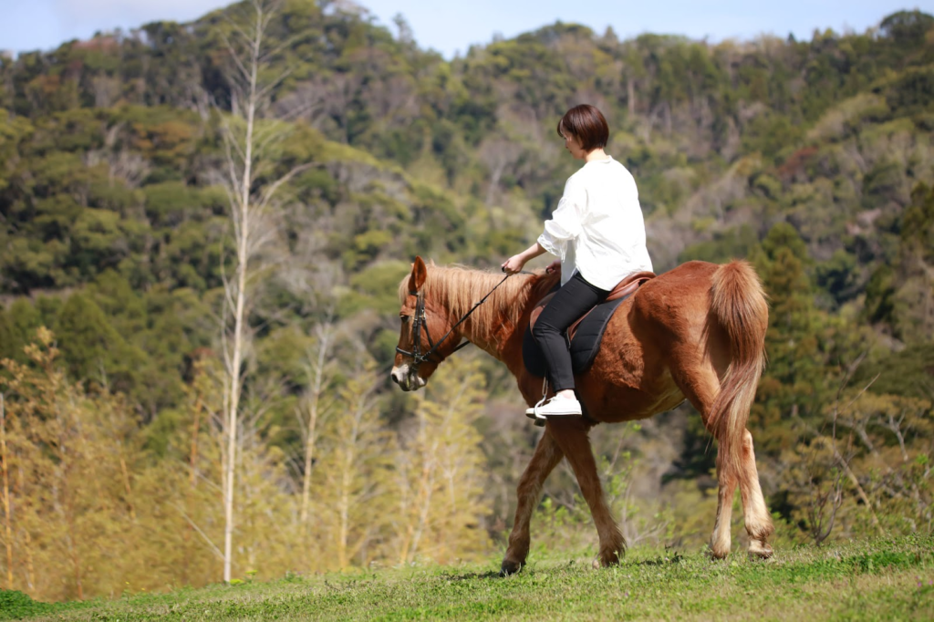 3.馬と触れ合う「乗馬体験デート」